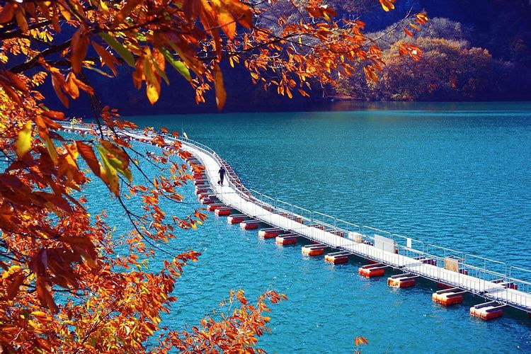 奥多摩名物のドラム缶橋